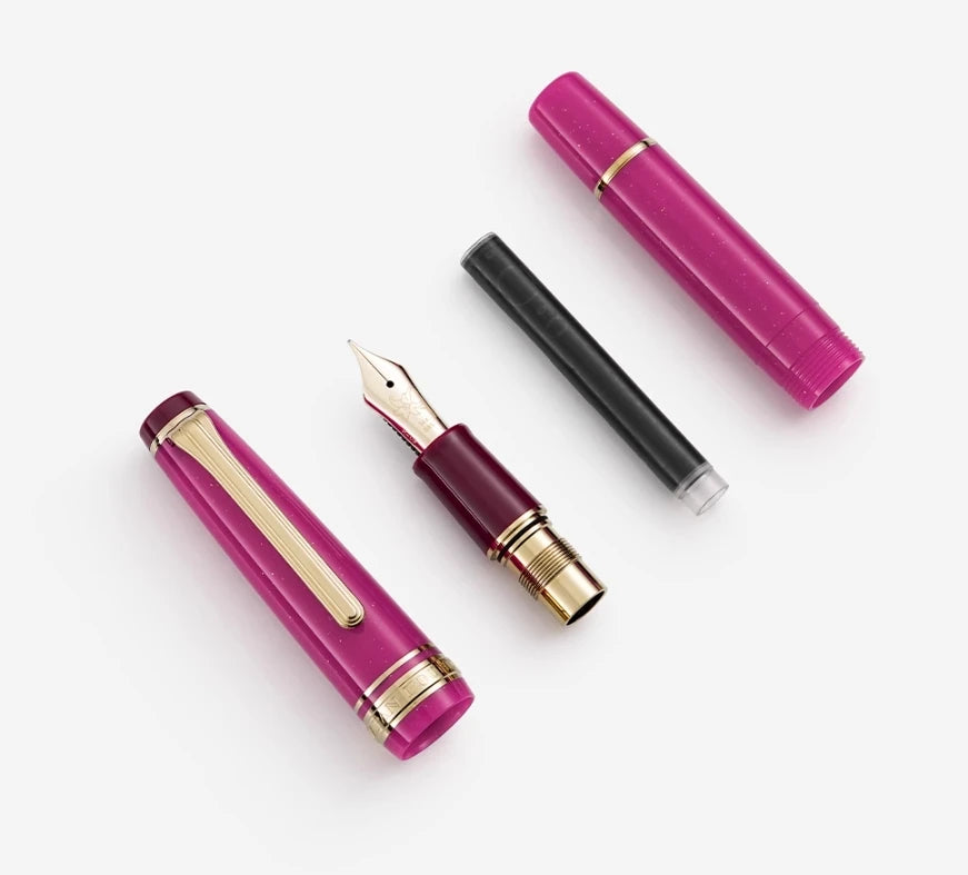 Ancora X Sailor - Birthstone Birth Flower Limited Edition Fountain Pen - 14K Gold Nib - Japan