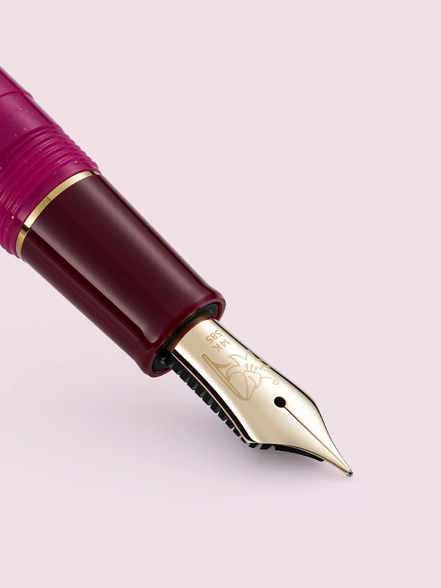 Ancora X Sailor - Birthstone Birth Flower Limited Edition Fountain Pen - 14K Gold Nib - Japan