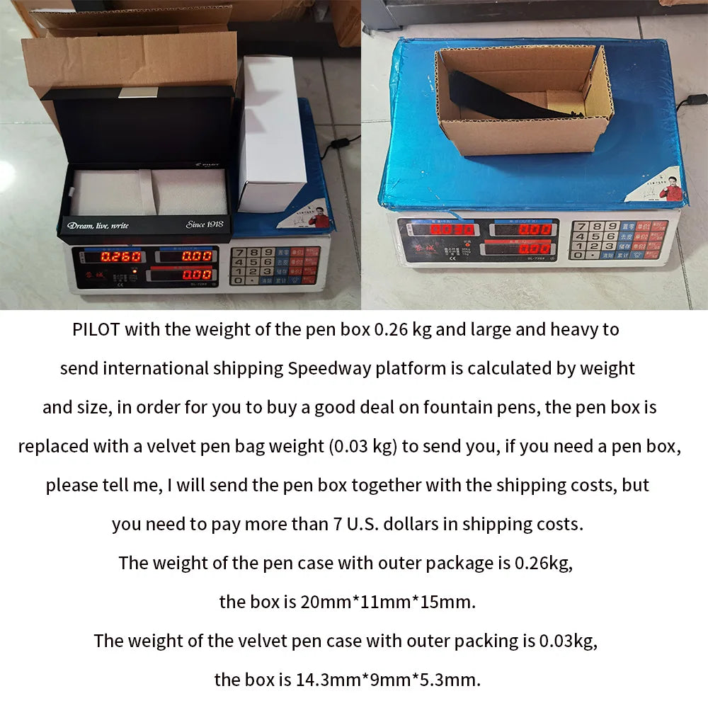 Pilot Capless Fountain Pen - Decimo - Original 18K Gold Nib Ink Pen - FCT-15SR - Japan